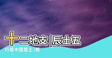 命屬土|【土屬性】掌握土屬性命格，提升運勢：你的本質解析與注意事項。